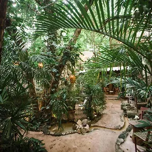 **** Hotel La Semilla A Member Of Design (adults Only) Mexiko